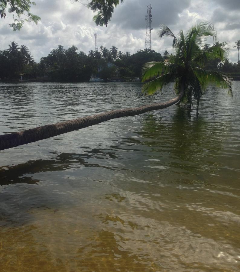 Supun Villa Bentota Buitenkant foto